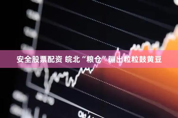安全股票配资 皖北“粮仓”蹦出粒粒鼓黄豆