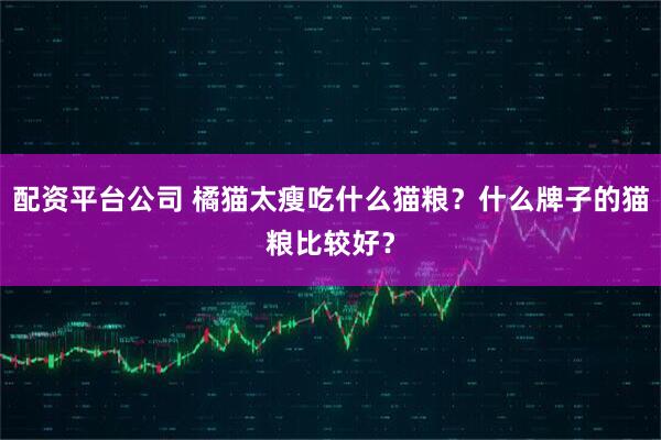 配资平台公司 橘猫太瘦吃什么猫粮？什么牌子的猫粮比较好？