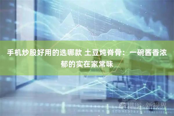 手机炒股好用的选哪款 土豆炖脊骨：一碗酱香浓郁的实在家常味